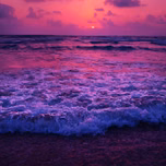 sebxs_181222