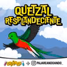 Quetzal: el ave sagrada de los bosques de Centroamérica 🦜