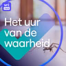 Misvattingen over sekswerk. En mag je een spin buiten zetten?