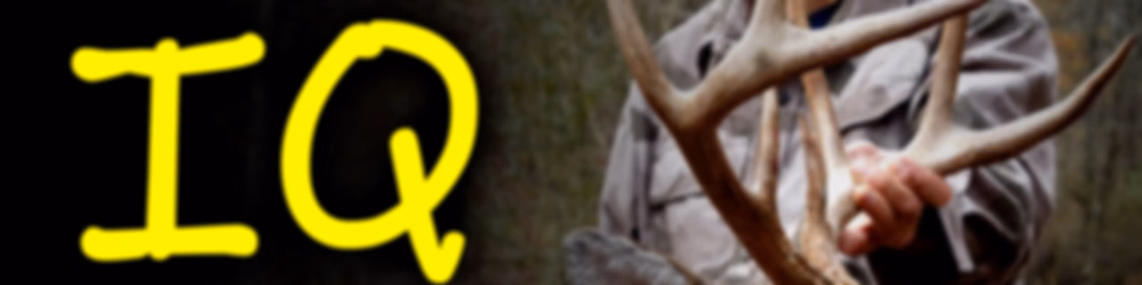 Deer IQ