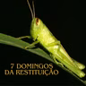 7 Domingos da Restituição (Parte 2)