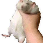 RatFM
