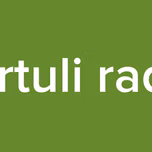 qartuli radio