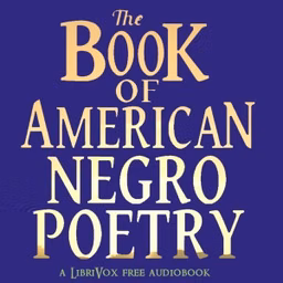 Book of American Negro Poetry, The by Joseph S. Cotter, Jr. (1895 - 1919), Paul Laurence Dunbar (1872 - 1906) et al.