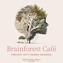 Brainforest Café