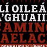 Damian Ó Néill
