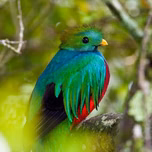 Atinsuyo