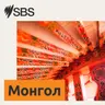 Who's profiting from your outrage? - SBS Examines: Таны бухимдлаас хэн ашиг олж байна вэ?