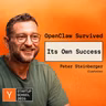 Peter Steinberger: "Fun Is Velocity"
