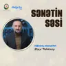 Rejissor Zaur Tahirsoy yaradıcılığı və kino baxışı I Sənətin səsi