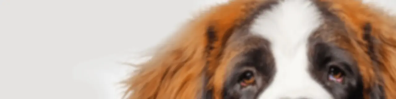 TalkPets: Pet Parenting