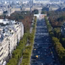 The importance of trees in urban areas