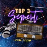Top 3 Segment