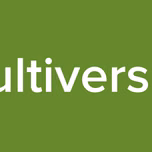 multiverso8