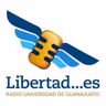 ¿Cómo los jueces deberán ejercer el control de convencionalidad de las leyes? | Libertad... es