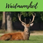 Waidmannsheil