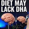 Human Brains Are Shrinking—Here's Why