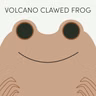 Volcano Clawed Frog | Week of September 14th