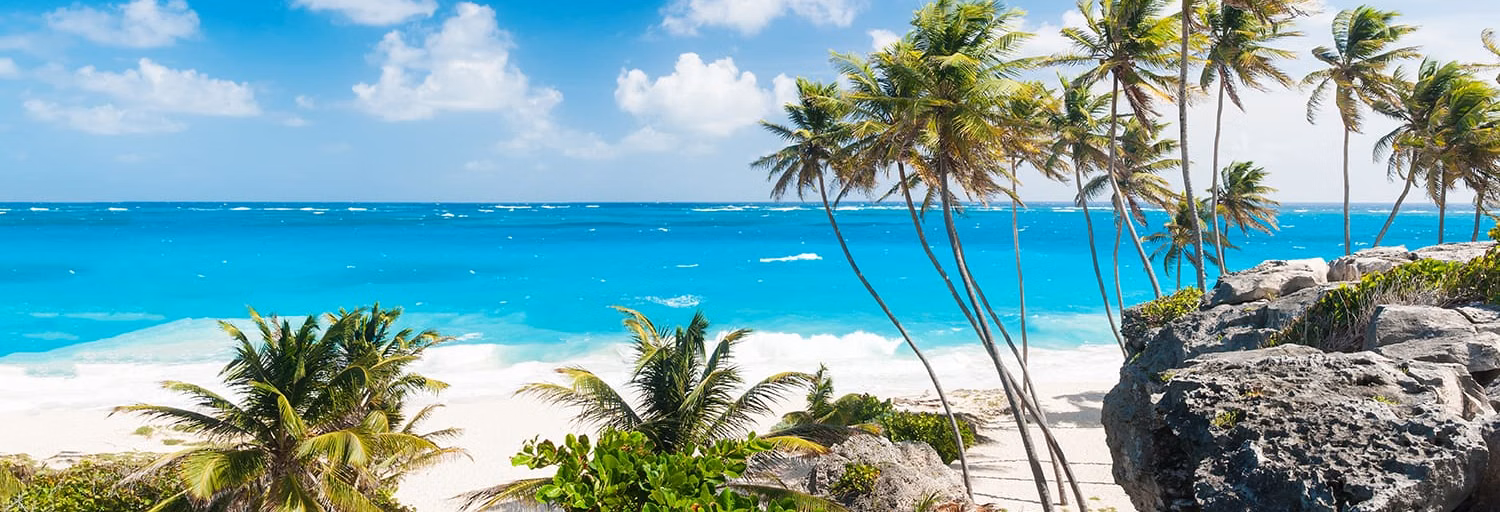 Caribbean Flavazz With Dj-Mroc