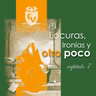 Locuras, ironías y otro poco -TEMA 7-