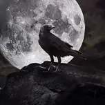 Ravenz Radio