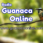 Guanaca Online