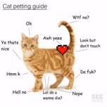LOVE CATS Radio Station