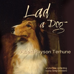 Lad: A Dog