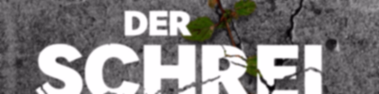 Der Schrei – Der rätselhafte Fall Rafael Blumenstock