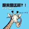 568：菲尔兹奖，到底在奖什么？