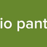 radio pantera
