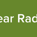 Bear Radio