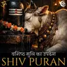 वशिष्ठ मुनि का उपदेश - शिव पुराण - श्रीरुद्र संहिता - अध्याय 32