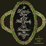 Little Girl in Old New York, A by Amanda Minnie Douglas (1831 - 1916)