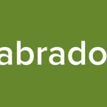 labrador
