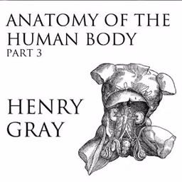 Anatomy of the Human Body, Part 3 (Gray's Anatomy) by Henry Gray (1827 - 1861)