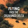 Flying over the Okavango Delta
