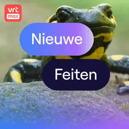 Dodelijke schimmel bedreigt vuursalamander