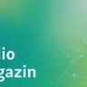 Radio magazin:  Na vratima Evrope