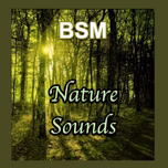 BSM Nature