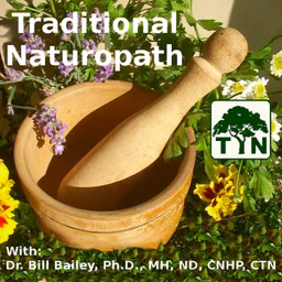 The Traditional Naturopath
