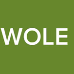 IREWOLE FM