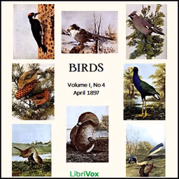 Birds, Vol. I, No 4, April 1897 by Various