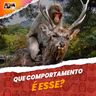 QUE COMPORTAMENTO É ESSE?