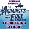 Aquarium Burnout Is Real - How To Recover Without Quitting Fishkeeping