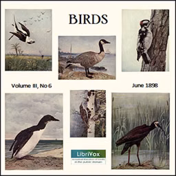 Birds, Vol. III, No 6, June 1898 by Various