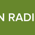 THE LION RADIO SHOW