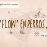 El flow en perros - crónica de exploración canina
