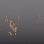 moving sound 3