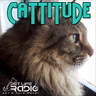 Cattitude - Episode 310 Have Cats, Will Travel! Finding Pet Care You Can Actually Trust